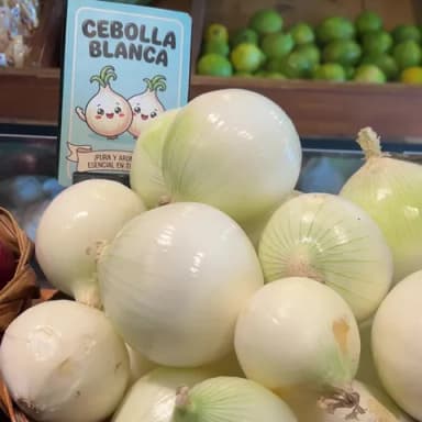 Cebolla